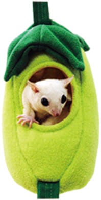 【小動物用品】ゆらゆら豆ブランコ