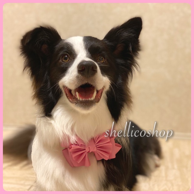 【wild rose】ボリュームたっぷりリボンチョーカー