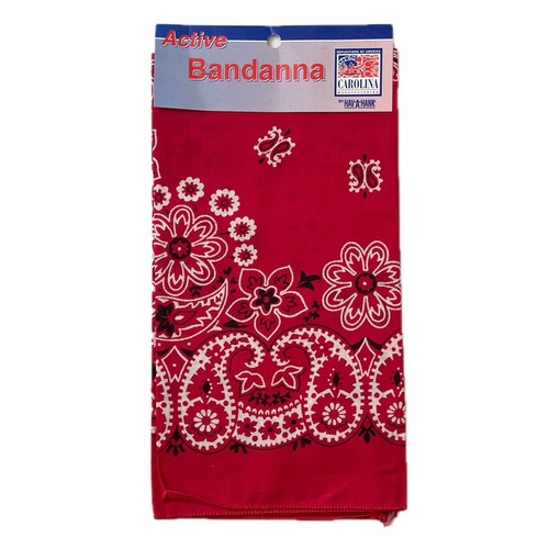 【 Deadstock】RN15187 PAISLEY ヴィンテージバンダナ