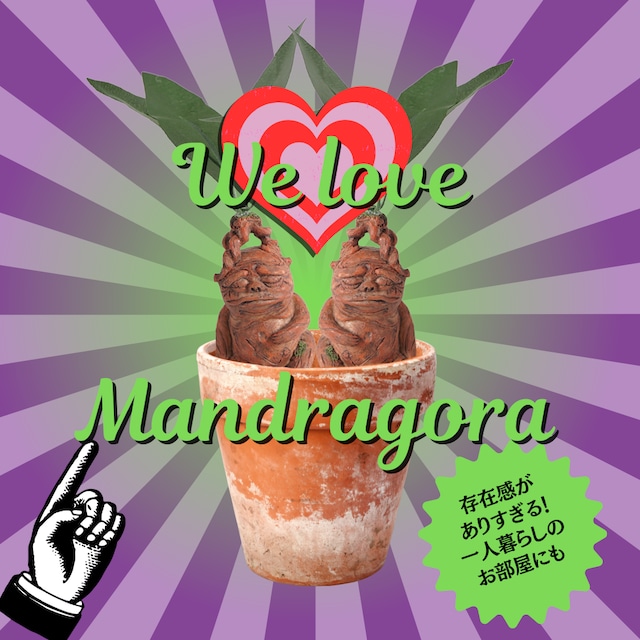 魔女の薬草　〜マンドラゴラ夫婦〜2体セット　 WA22017