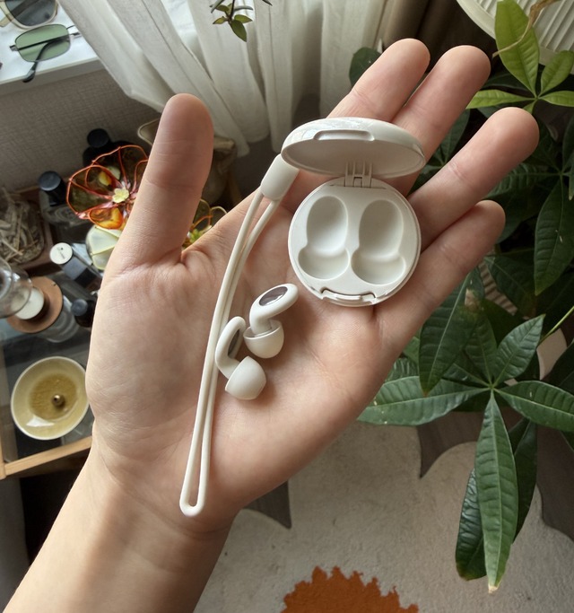 Ear plugs