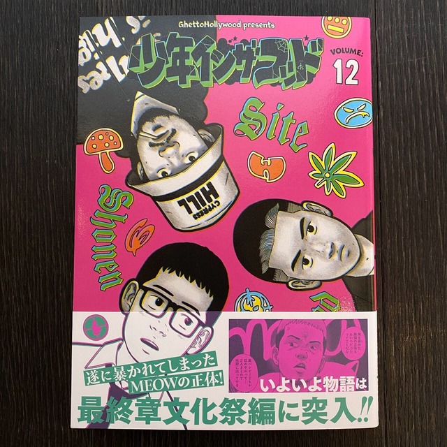 SITE (Ghetto Hollywood) / 少年イン・ザ・フッド 12【特典付】