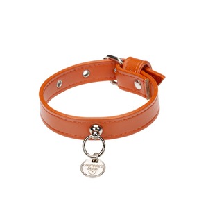 Art. f1566N collar Hermes（Silver） / Charlotte's Dress