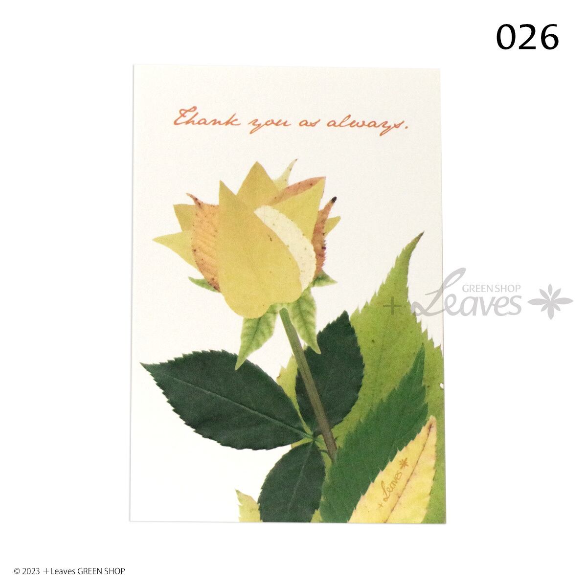 026 YELLOW FLOWER 植物ポストカード【日本郵便クリックポスト