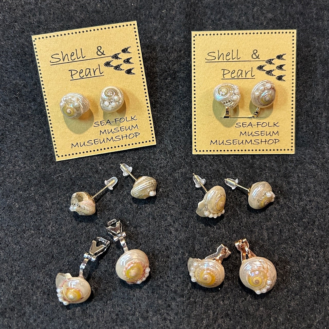 Seashells 貝殻 | 海の博物館ミュージアムショップ