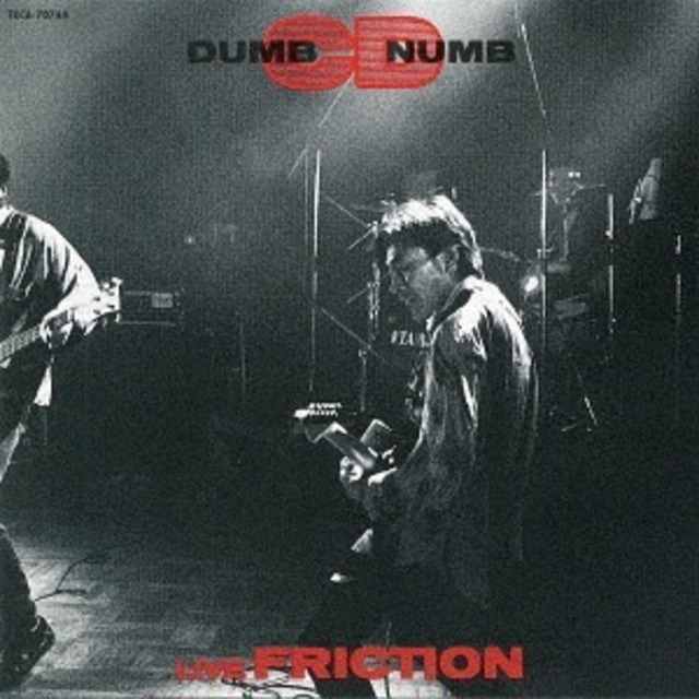 【完全生産限定】FRICTION「DUMB NUMB CD」アナログ盤（12インチ2枚組）