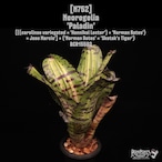 Neoregelia 'Paladin'〔ネオレゲリア〕N752