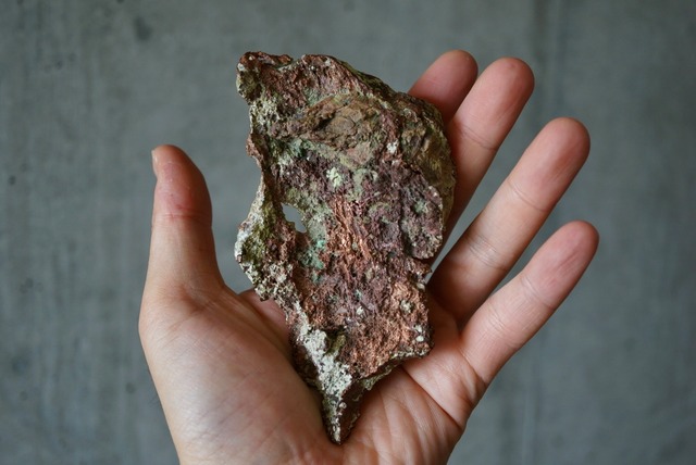 デンドライト 忍石 Dendritic limestone ③