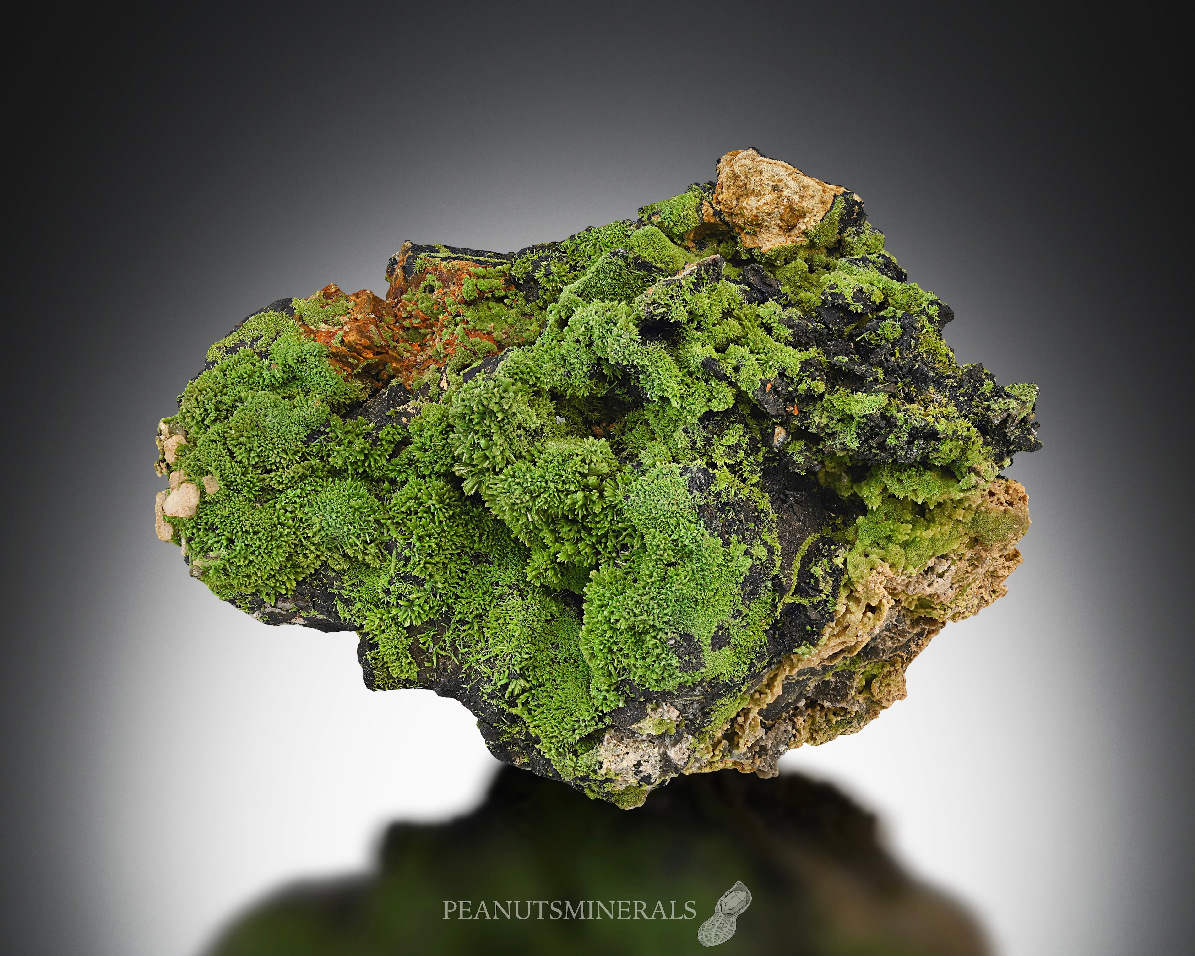 パイロモルファイト【Pyromorphite】イングランド産 | PEANUTS MINERALS