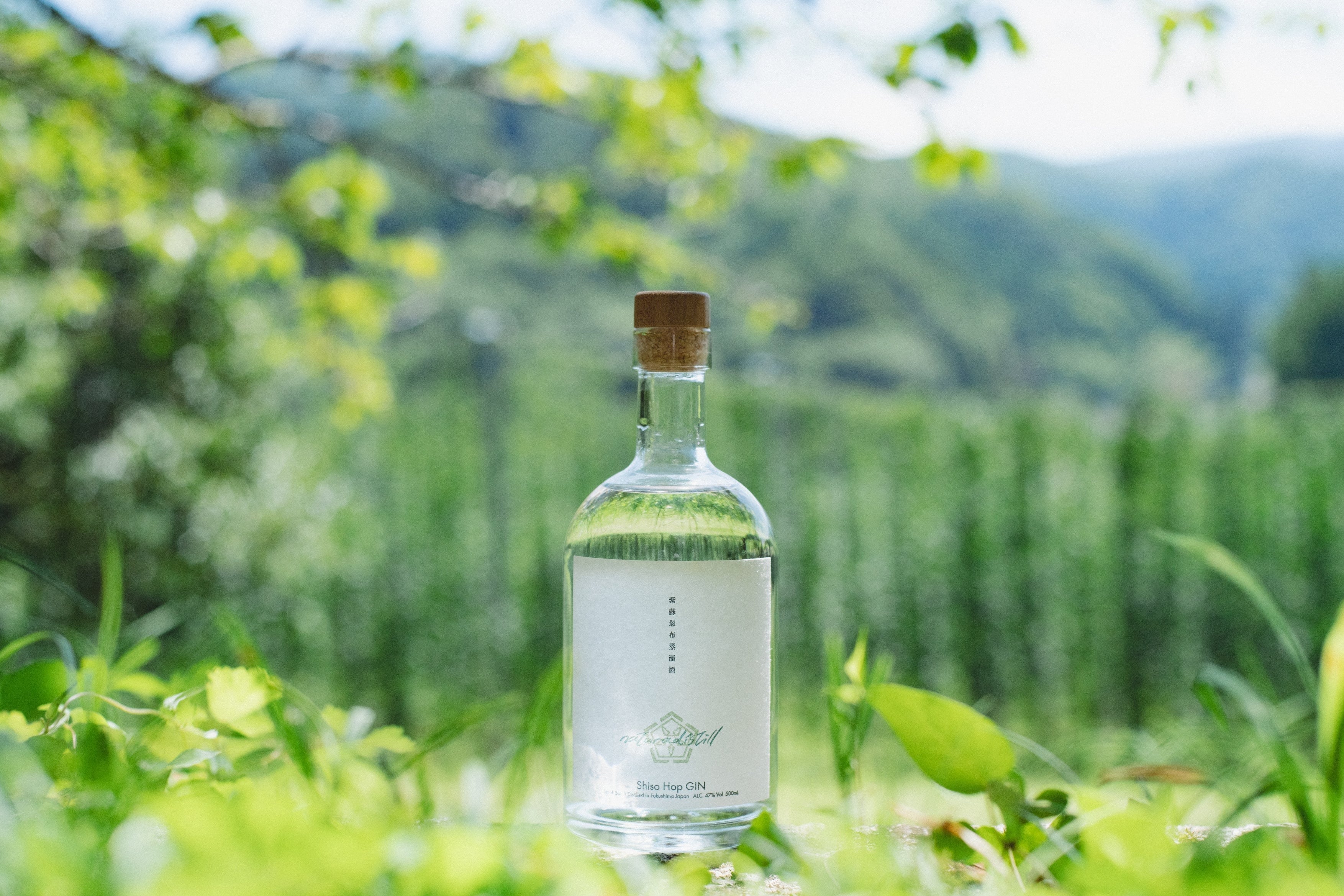 naturadistill 梅花蜜柑蒸溜酒 Ume blossom Mikan GIN / ナチュラディ