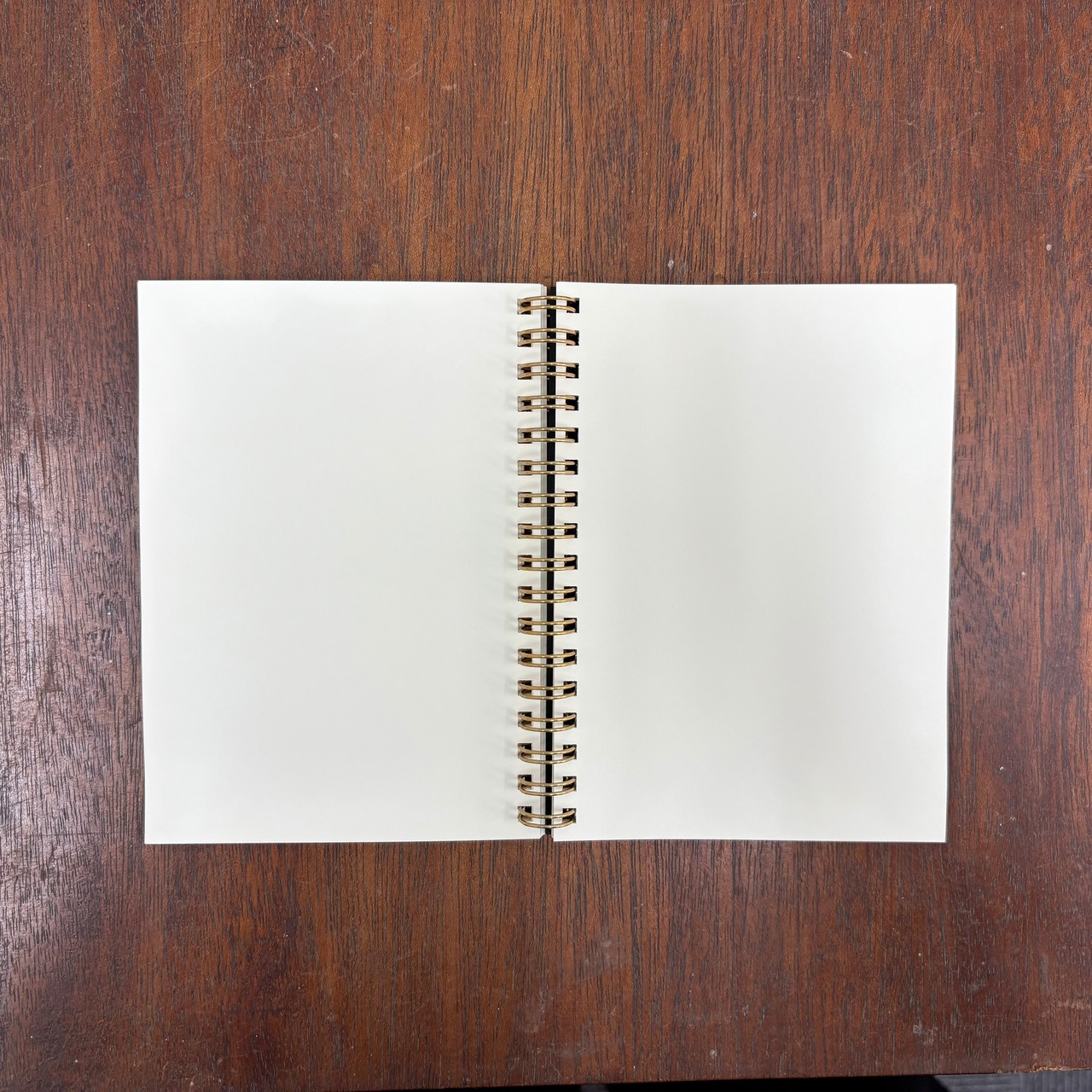 ミニノート（茶猫）