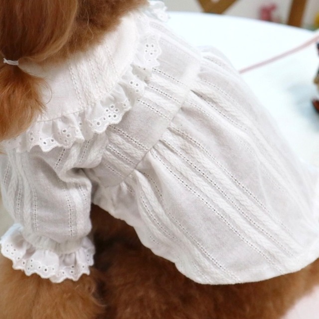即納販売　creamy  blouse    クリーミーブラウス韓国犬服　cerize