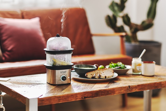 Russell Hobbs / クイックミニスチーマー