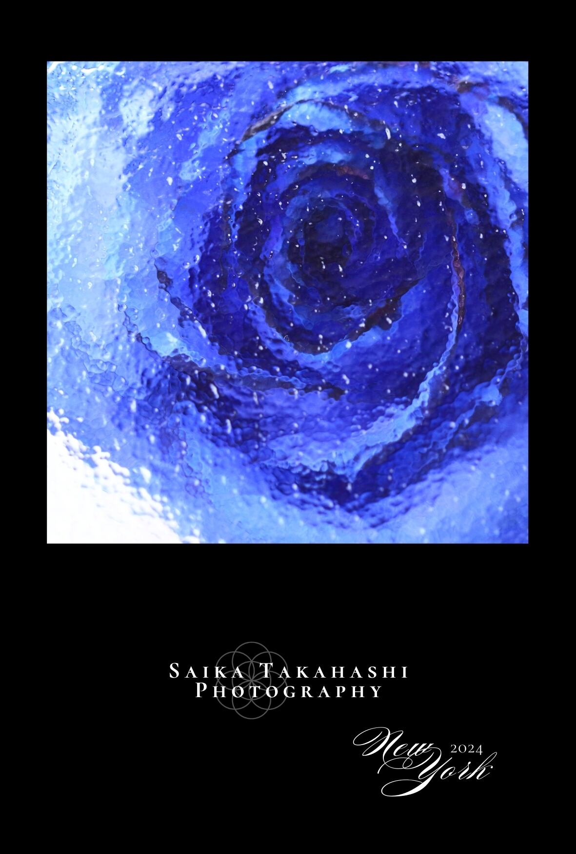 ☆17 【ご依頼品】ローズ様 823fd985f2ac89064df072e594824d