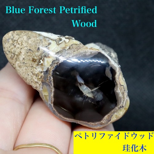 ワイオミング州産ブルーフォレスト 珪化木 ペトリファイドウッド 56,4g PFW018　 鉱物 標本 原石 天然石 パワーストーン