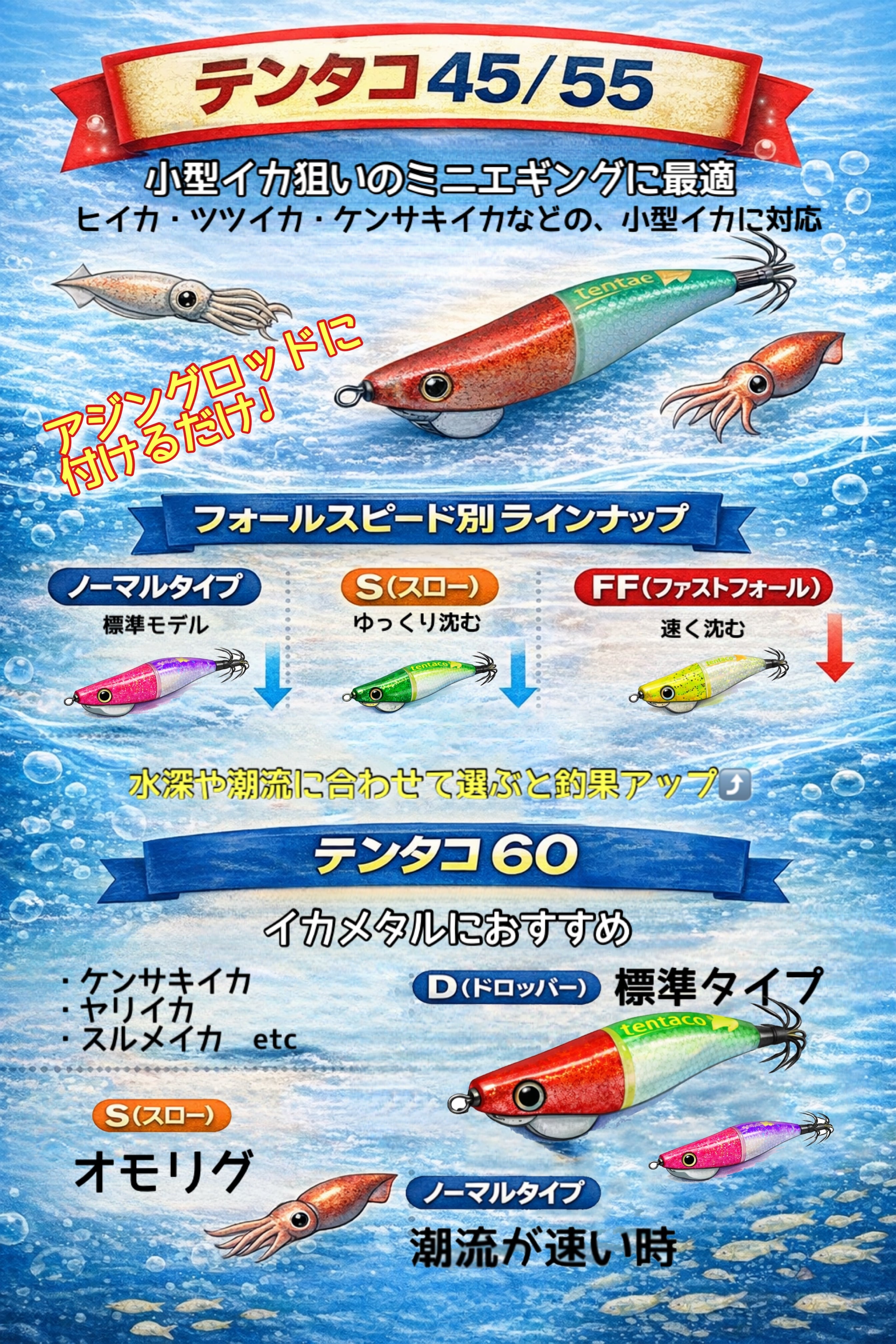 テンタコ55FF | ZinBay