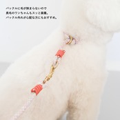 ドッグリード│モノグリッド