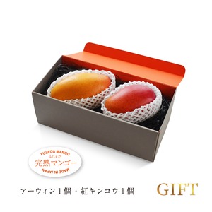 2026初物【20箱限定ギフト】紅キンコウ＋アーウィン2玉セット　※先行予約用