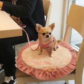 ラグジュペリア カフェマット