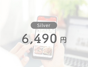 Silver ランク