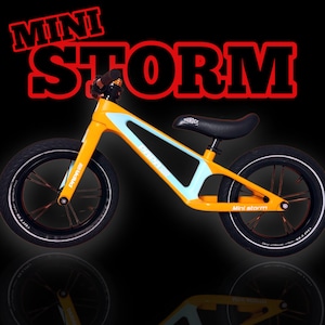 －MINI STORM－