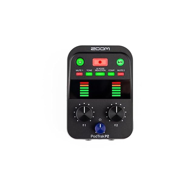 Accfly 11 インチプロフェッショナルディスプレイオーディオ 動画視聴