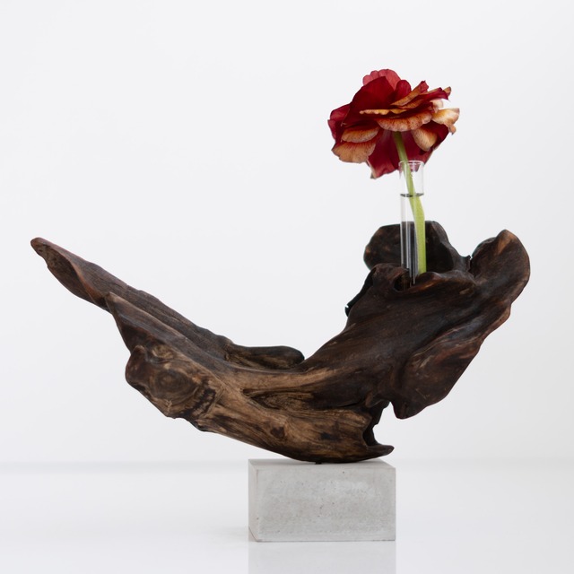 世界にたったひとつあなただけの流木一輪挿し | driftwood flowervase | ookina shippo no.3 (M size)