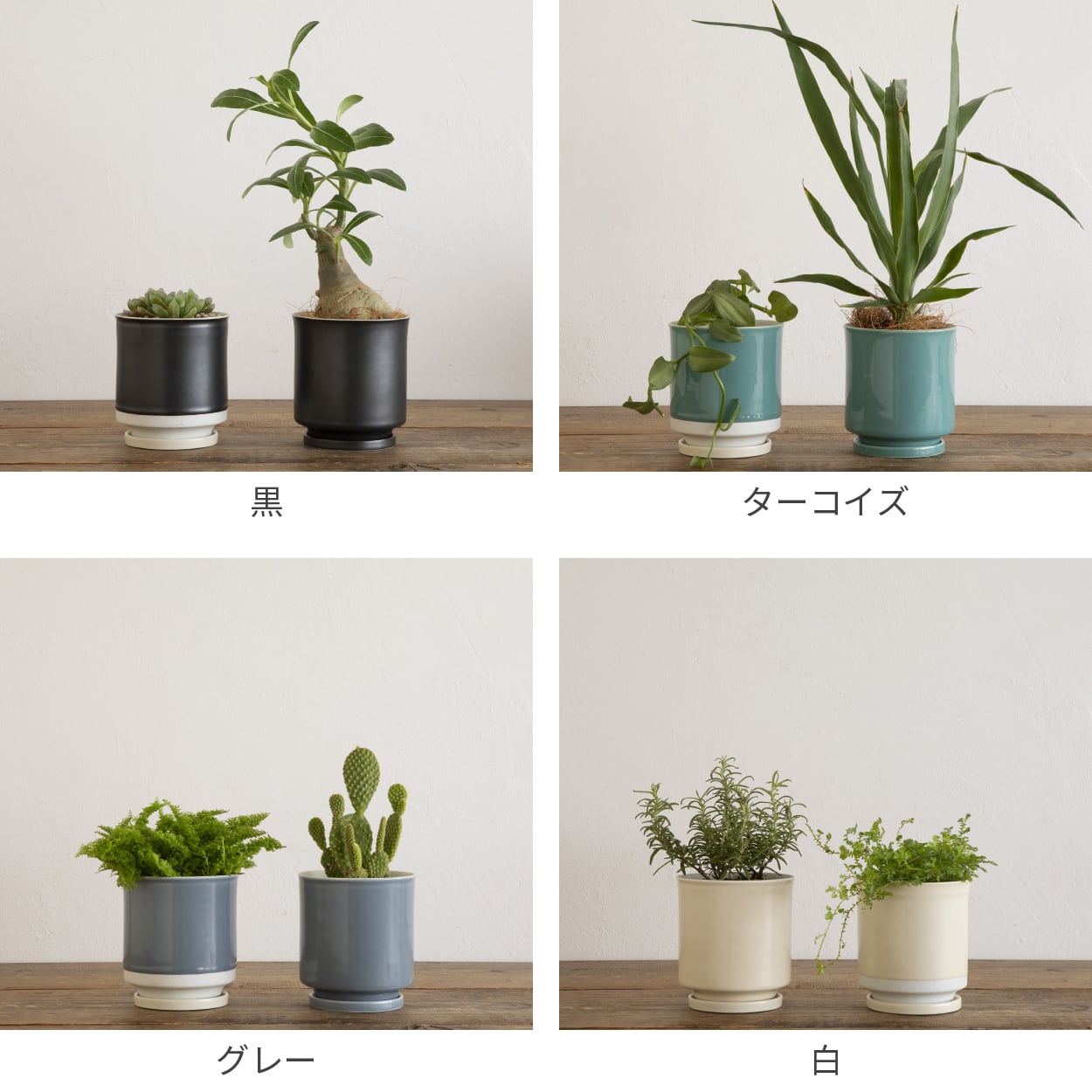 植木鉢 陶器 おしゃれ 室内 かわいい 北欧 鉢カバー 10.5x11.5cm