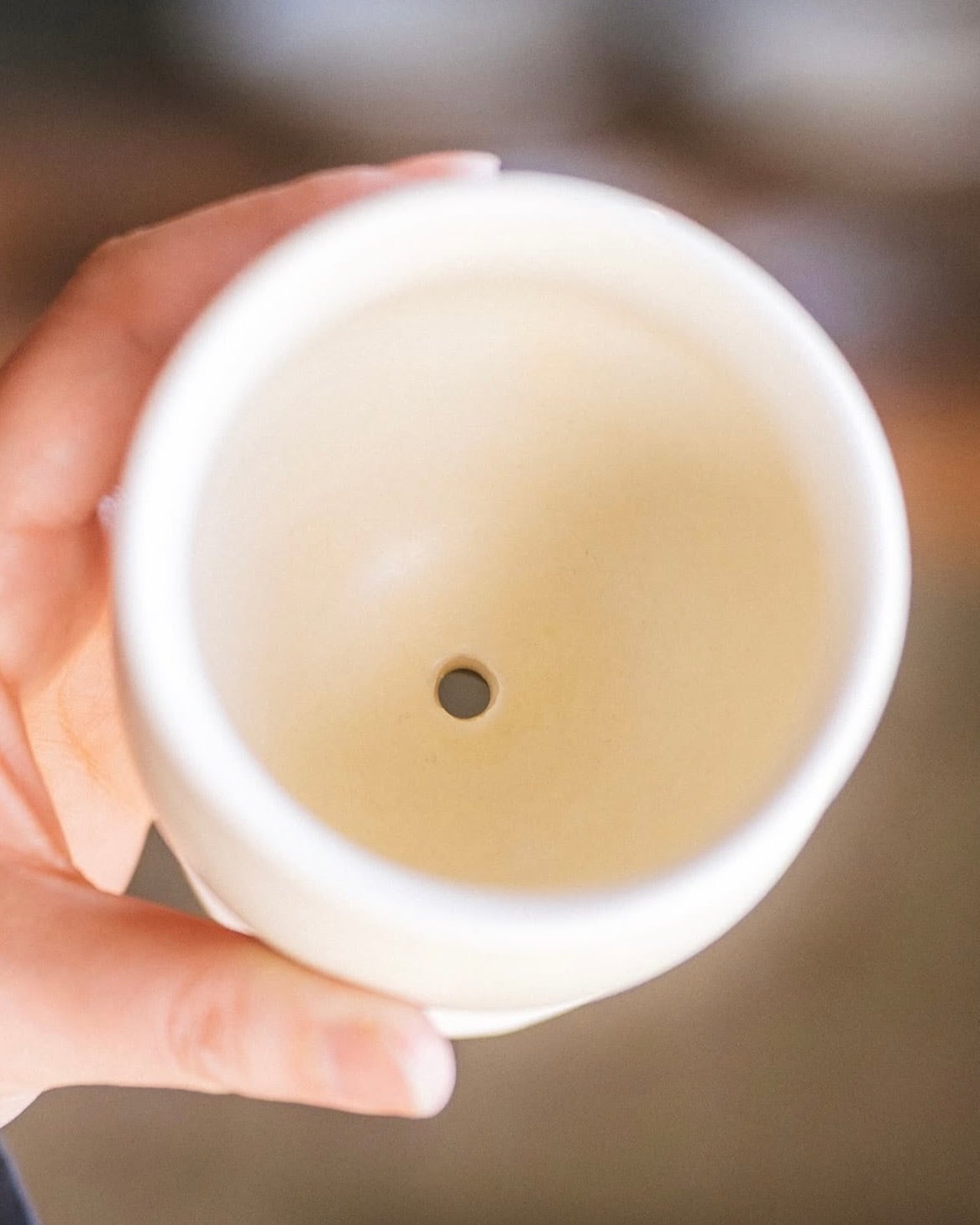 Arbor Aroma Candle | Arbor