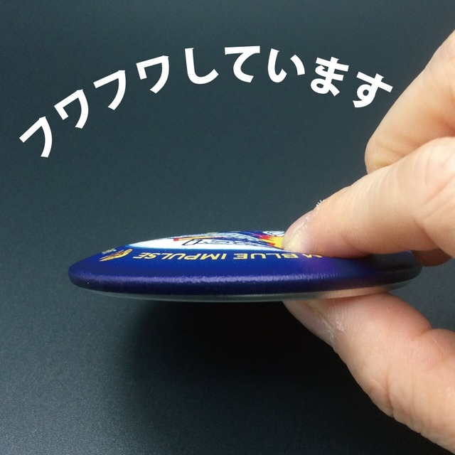306飛行隊 レザふあミラー