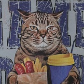 キジトラマニア めっちゃかわいいキジトラさんのプリント プルオーバー トレーナー サックスブルー