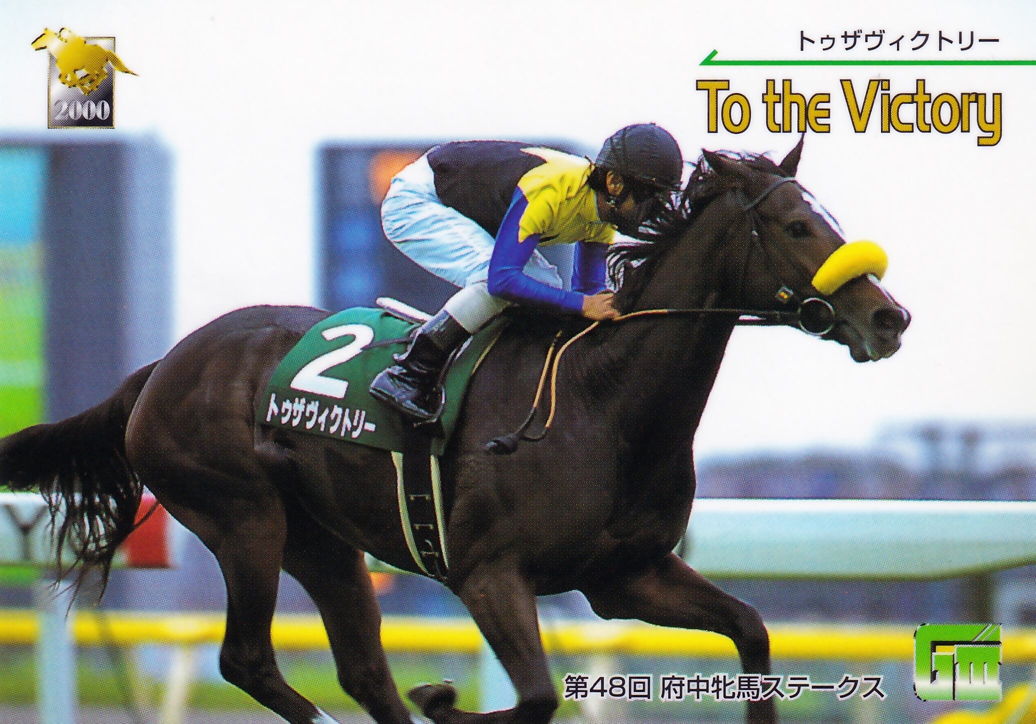 ナリタブライアン：第54回 皐月賞「サラブレッドカード 00年上半期