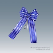 ギフトリボン Little Curse Deep Blue/Silver Foil
