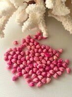 Pikake / Pink / 10pc