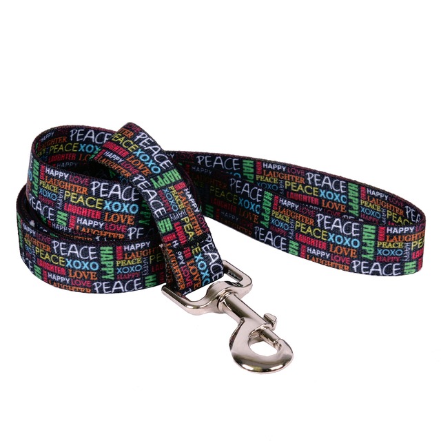 Cool Type 首輪＋リードセット Lサイズ - Yellow Dog Design