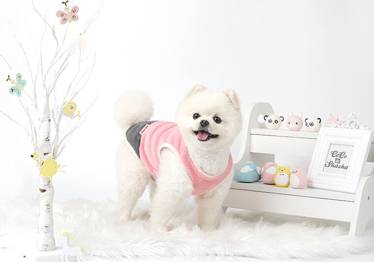 faceトップス 2color S ~ 2XL / 犬服 秋冬 新作 ドッグウェア 可愛い 犬の服 ペット わんこ服 小型犬 中型犬 猫 top92