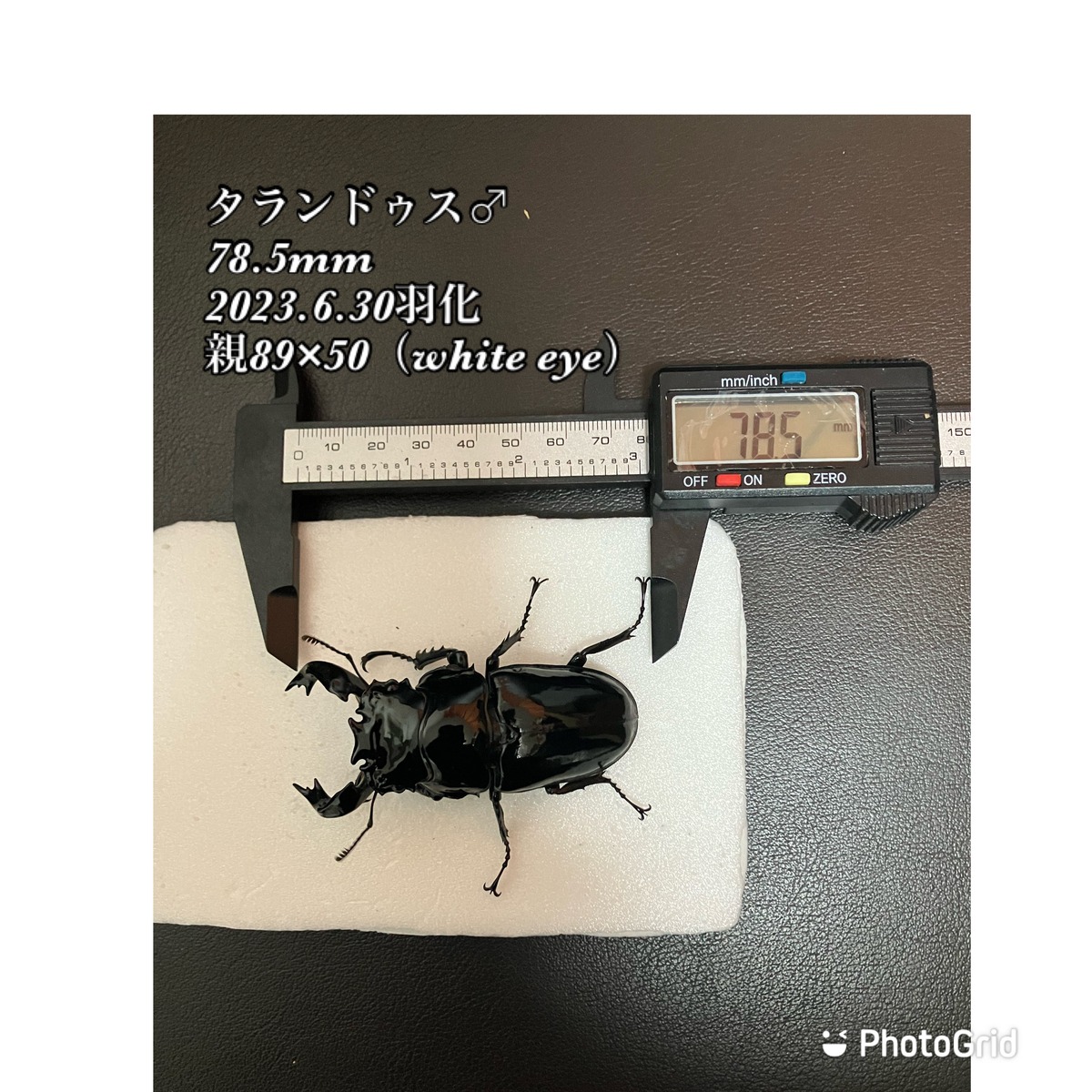 825aaba332fdcd1cc950e9859d356f 