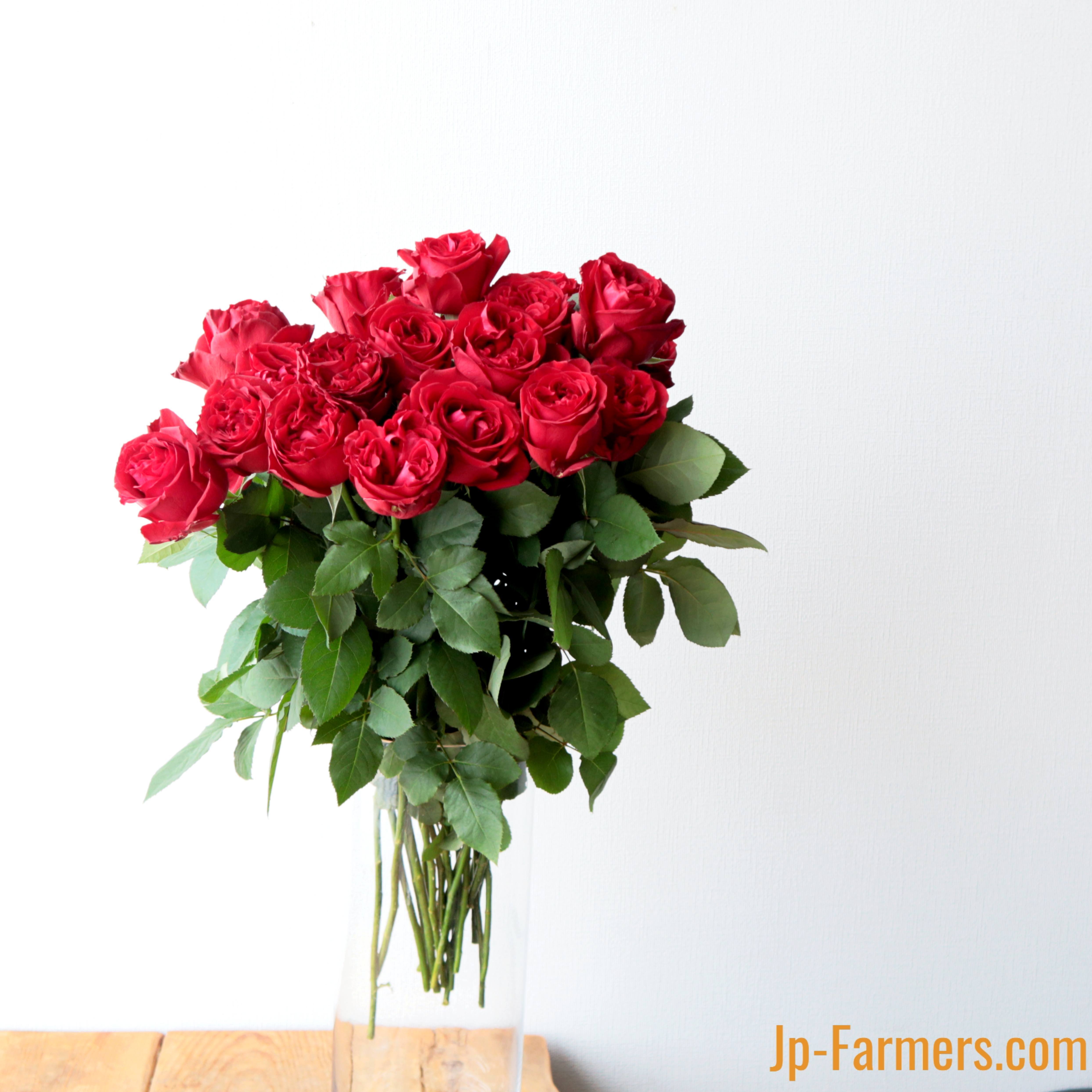 FUJIWARA農園 バラ 『 レッドエレガンス 』 10本 | 新鮮お花問屋 Jp