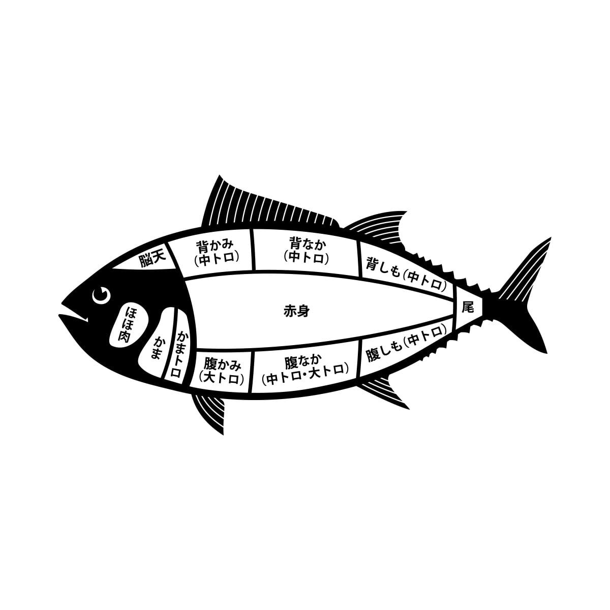 マグロ部位 おもしろ Tシャツ am65 アニマル 魚類 刺身 寿司