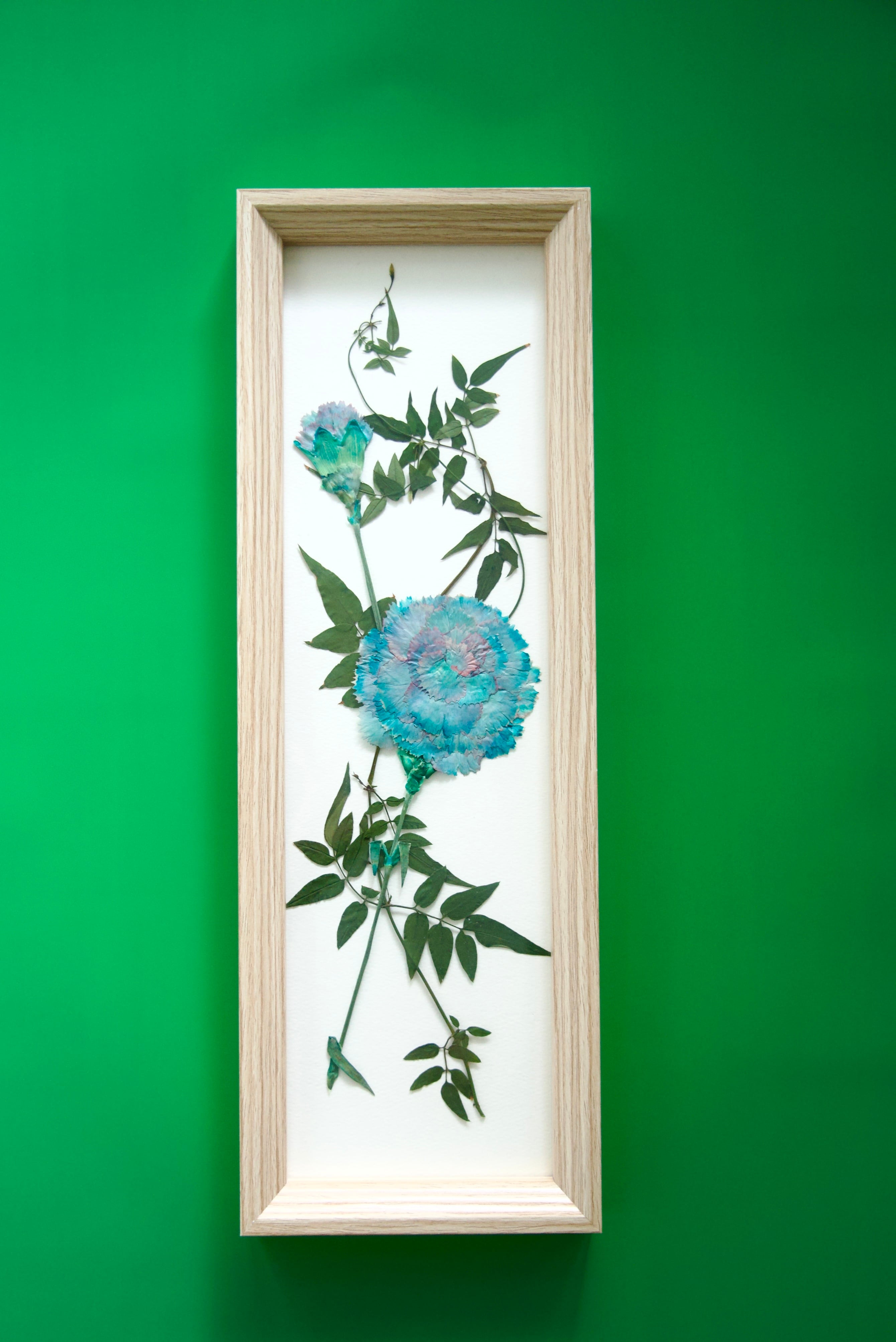 *母の日ギフト* カーネーションの押し花フレーム 【マーメイドブルー】