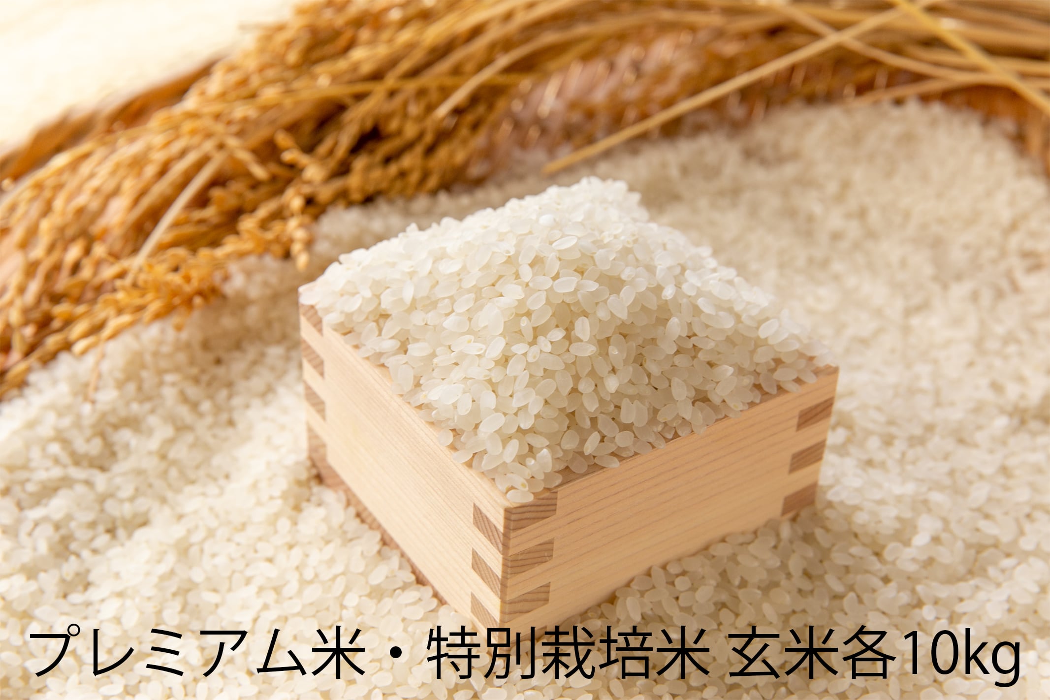 各玄米10kg　プレミアム米・特別栽培米食べ比べセット　魚沼産コシヒカリ　令和5年度米　苗場プリンセスオンラインショップ