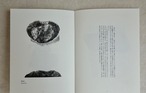 戸次祥子画文集「こんな石を見た」BEKKI Shoko thumbnail 5