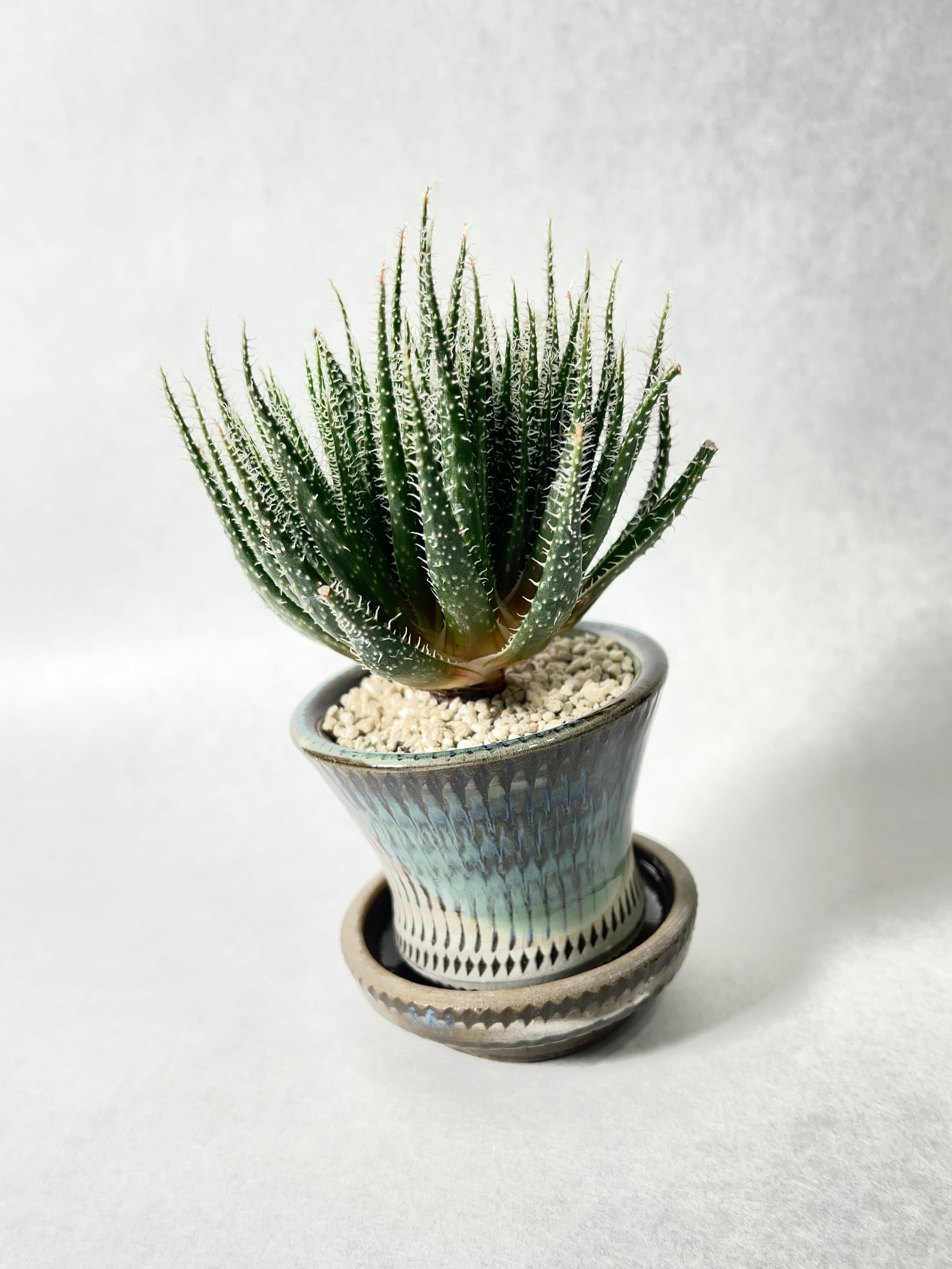 826678601e49094aa4896dbb205961