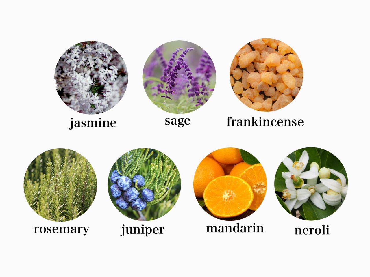 ヒーリングバスソルト 3個セット（デトックス＆チャージ）