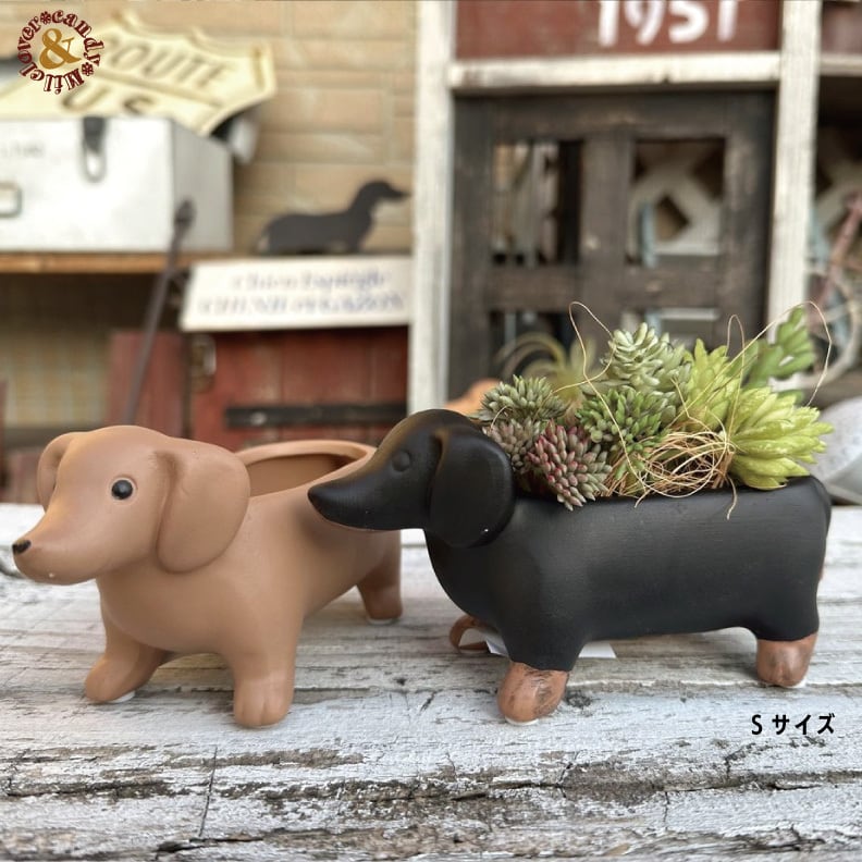 ちいさなダックスのテラコッタポット｜多肉植物 寄せ植え用 犬型