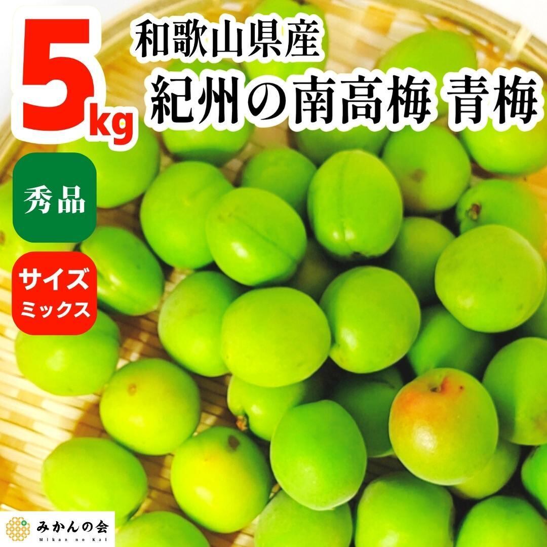 和歌山県産 紀州南高梅 Lサイズ 箱込み約4kg以上