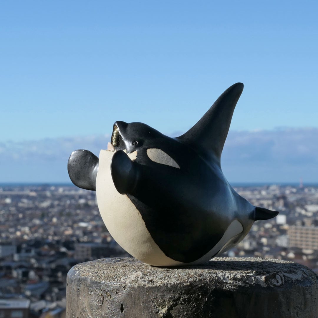 ポメ WWC Street Lights Montipora Coral