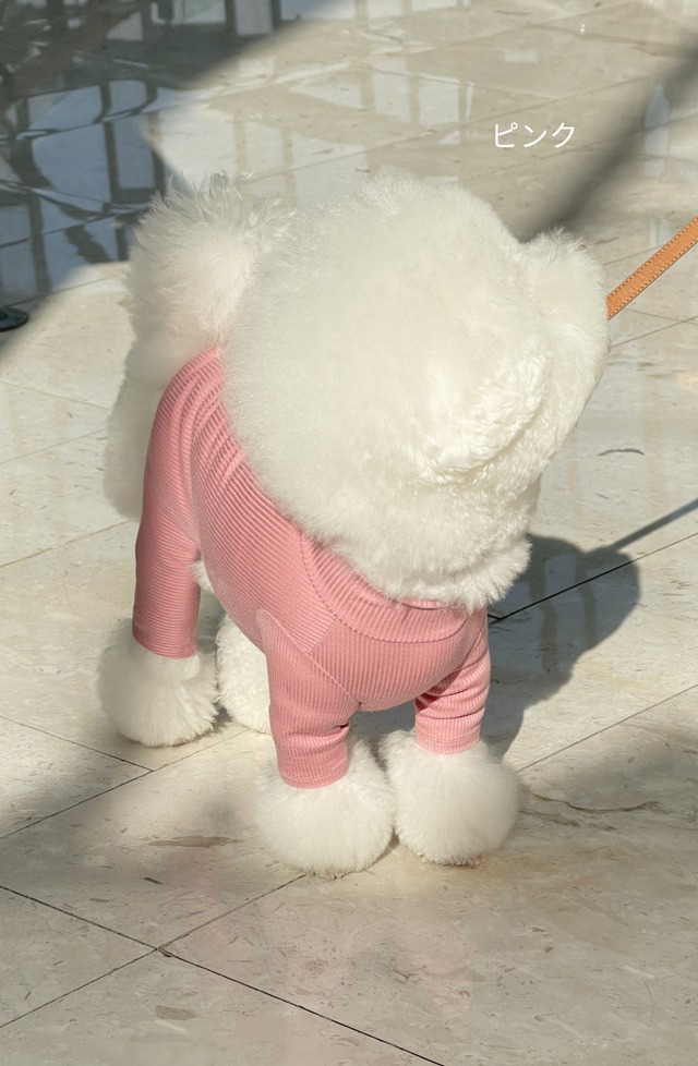 〈予約アイテム〉SICGGU / チーズオールインワン