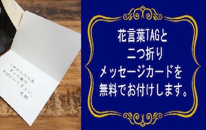 枯れないお花、青バラ７本のプリザーブドフラワー ボックス入り　花言葉は【夢は叶う】恋人や友人にサプライズなプレゼントに最適！花言葉TAG無料！