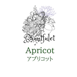 アプリコット（Apricot）100g